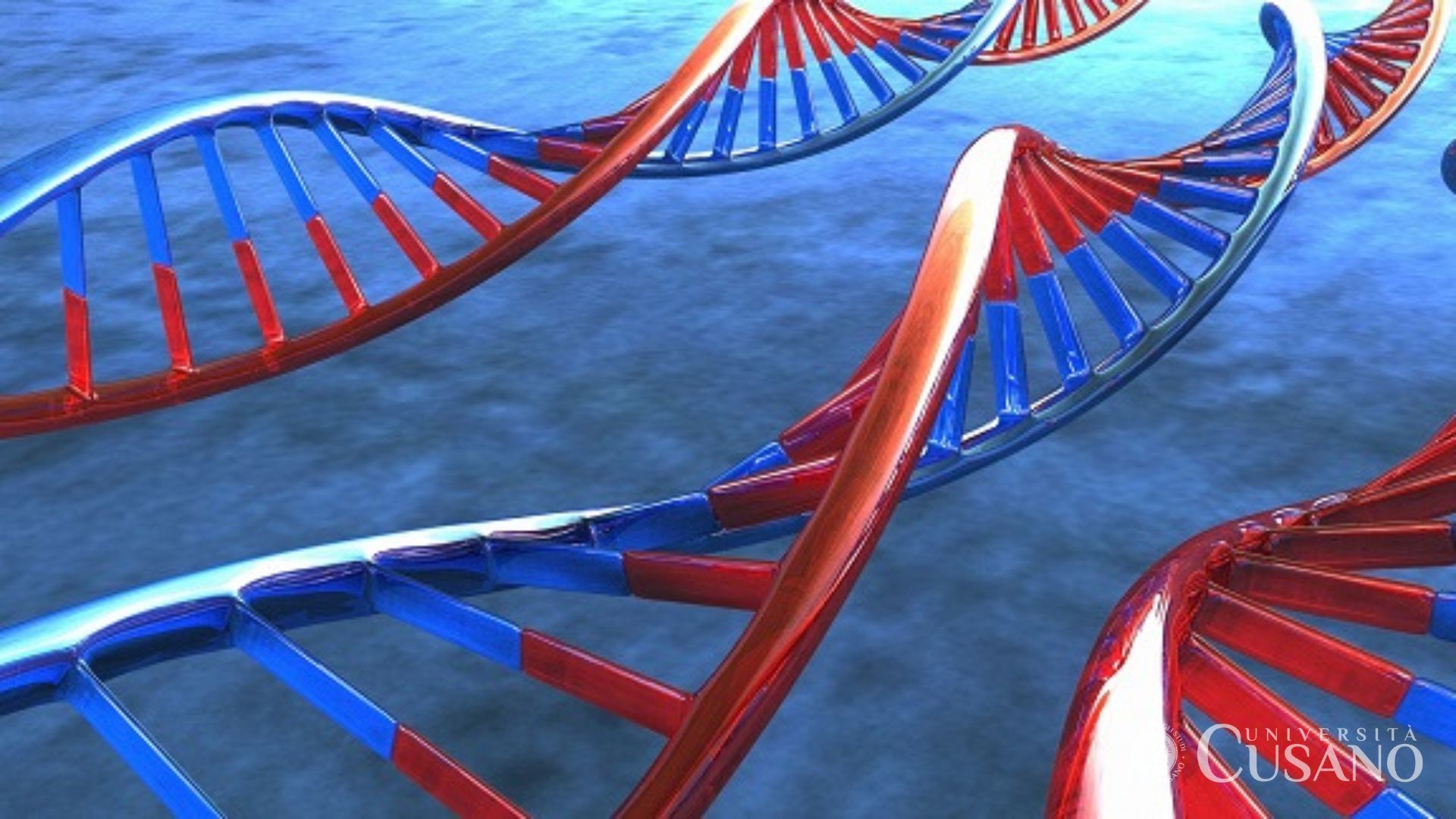 ARN: qu'est-ce que c'est, à quoi sert la différence avec l'ADN