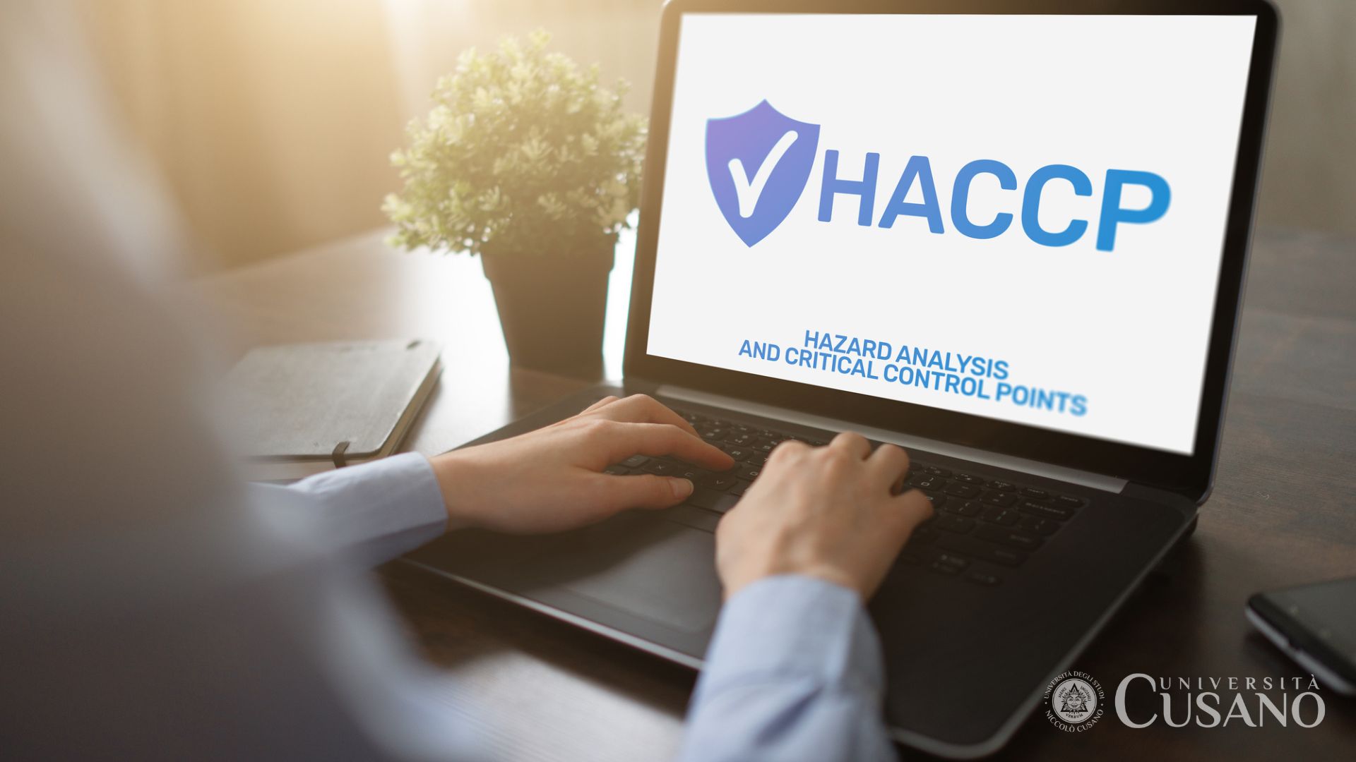 Comment devenir consultant HACCP: conseils utiles