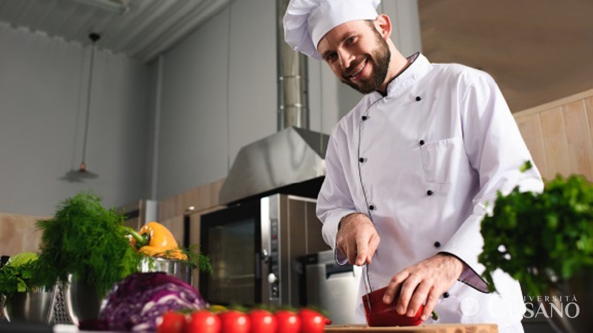 Comment devenir cuisinier: formation, gains et opportunités