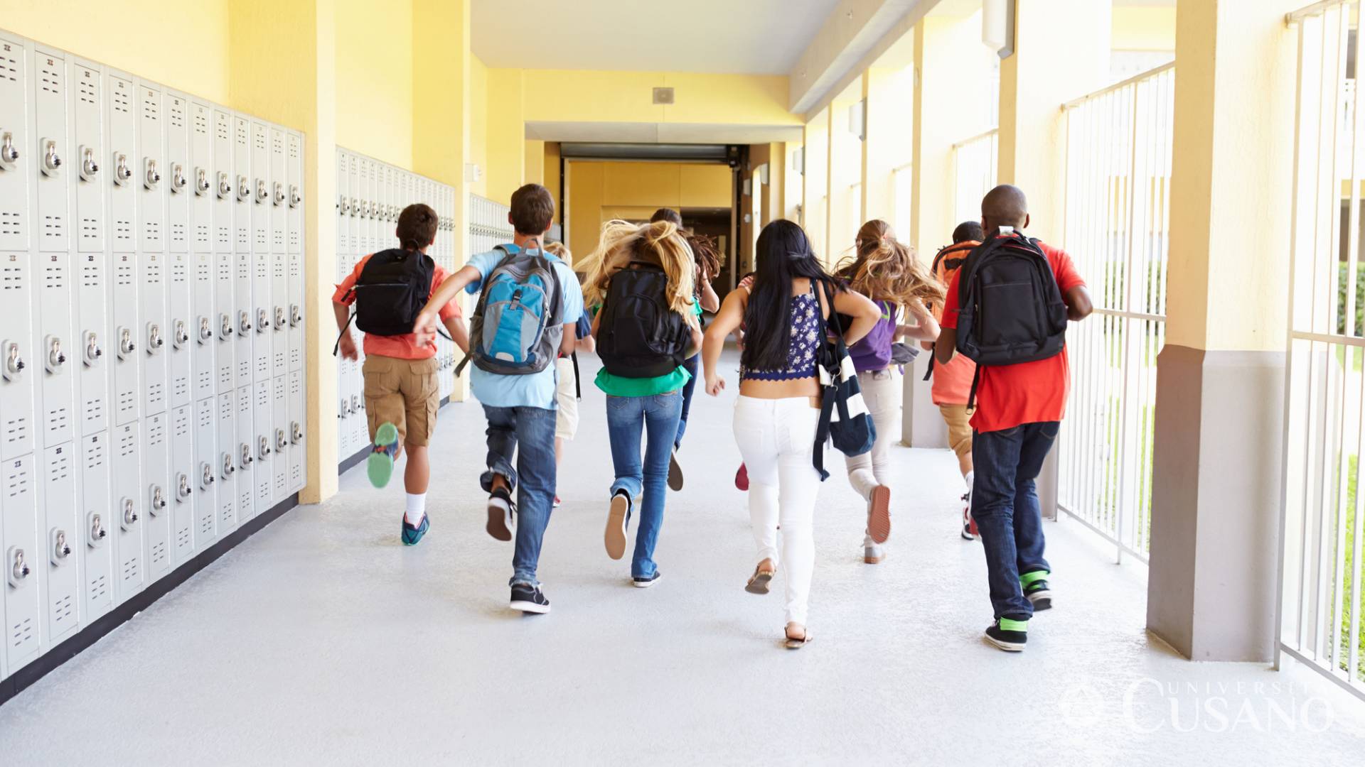 Comment devenir enseignants au collège: guide pratique