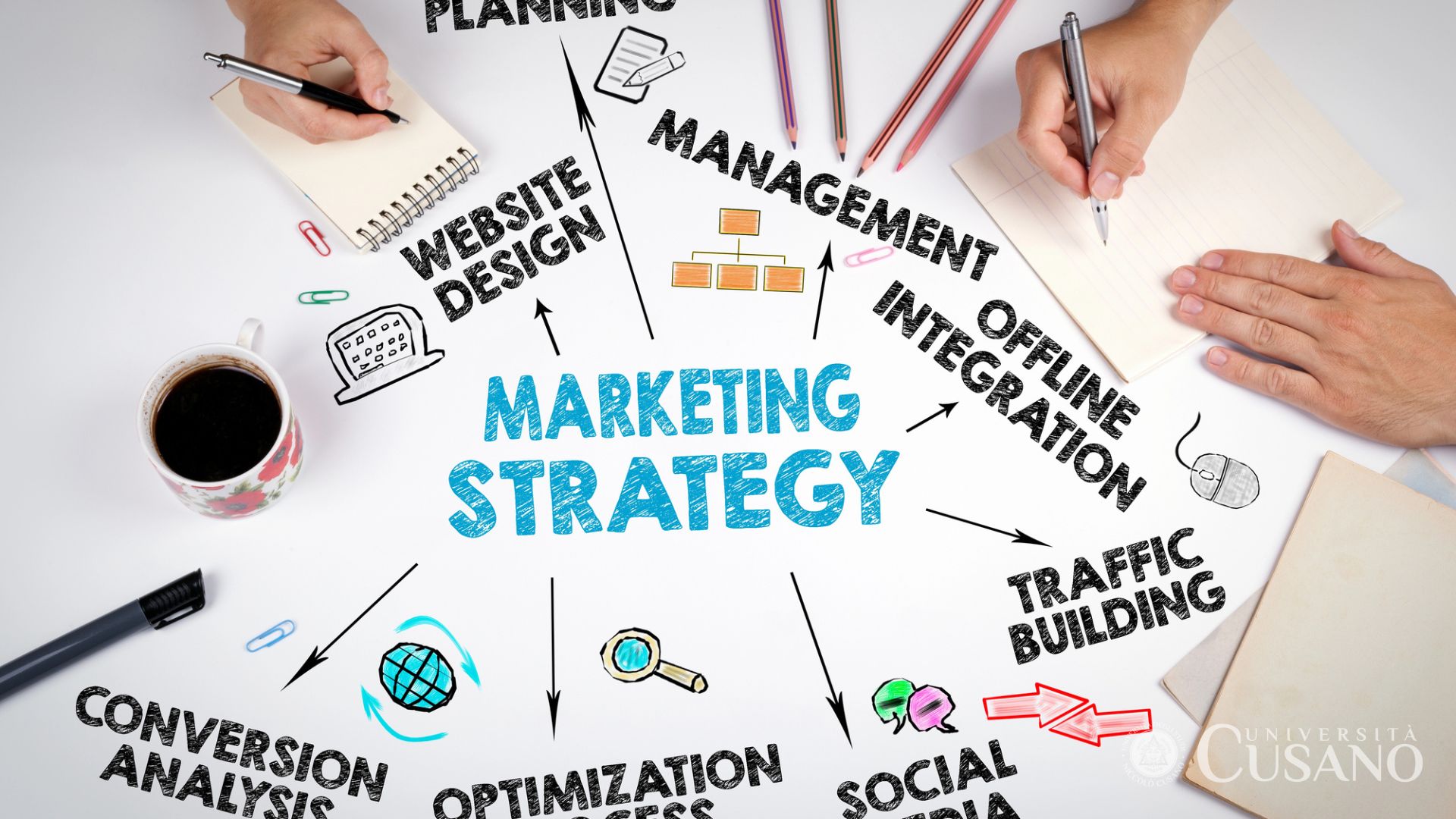 Comment devenir spécialiste du marketing: études et possibilités