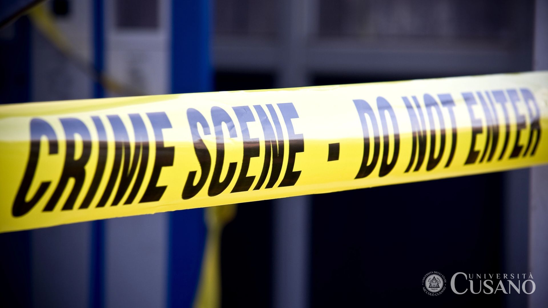 Master in Online Criminology: Course and Work Outlets