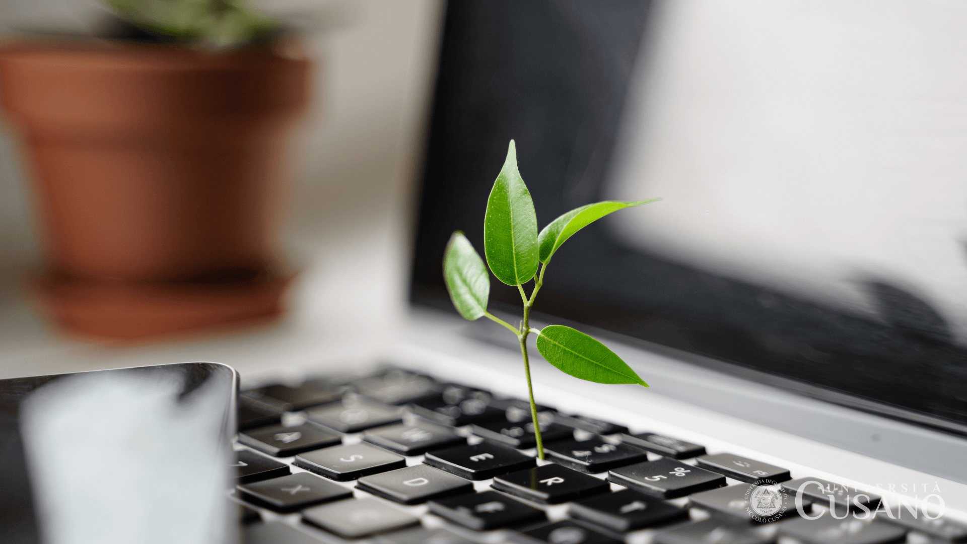 Université et environnement: comment réduire l'empreinte écologique des étudiants