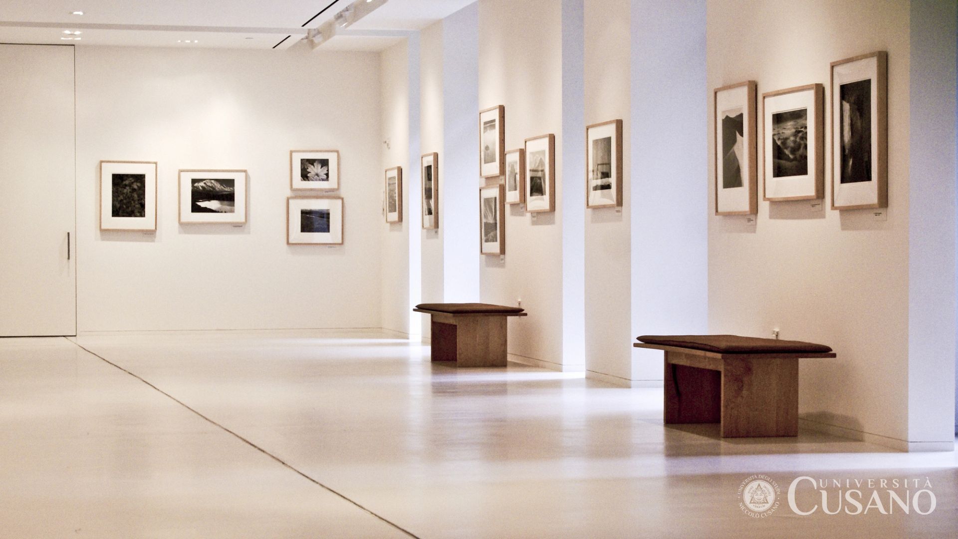 Cadre du musée: ce que c'est et comment travailler dans ce domaine