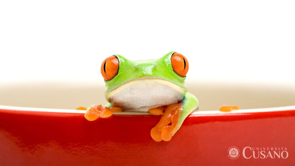 Comment changer les habitudes: la technique de la grenouille bouillie