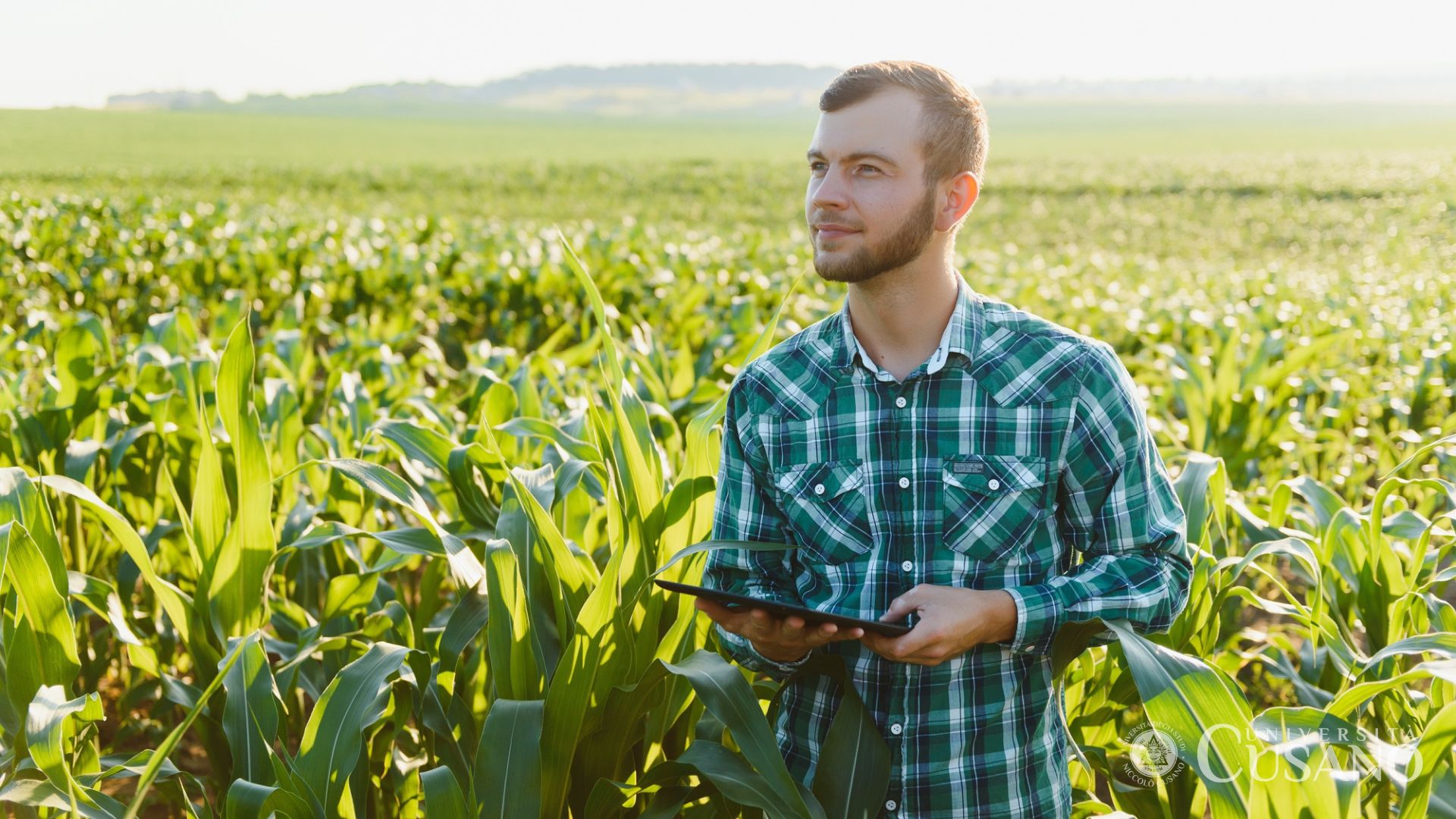Comment devenir agronome: études et possibilités