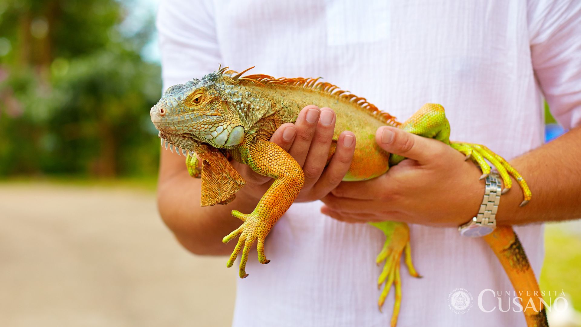 Comment devenir zoologiste: guide pratique