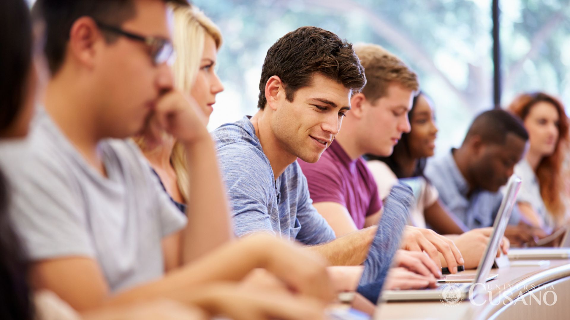 Quelles sont les différences entre le lycée et l'université