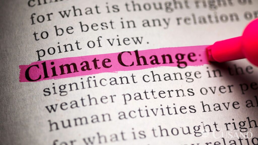 Échocritique et littérature: comment les romans racontent la crise climatique