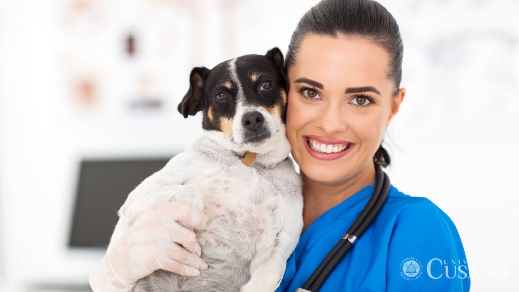 Travailler avec des animaux: avec et sans diplôme