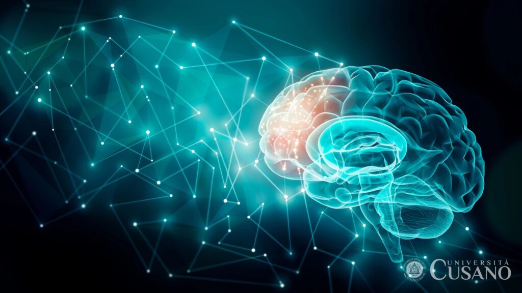 Neurosciences cognitives: sujets et points de vente sur le chemin de la psychologie