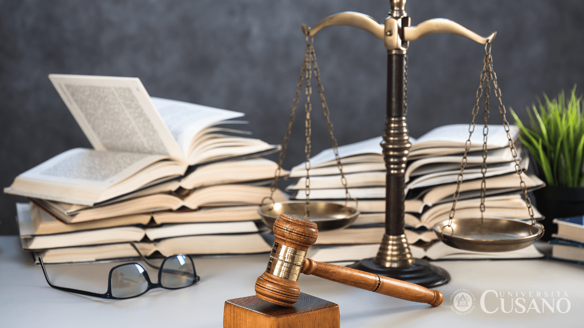 Institutions de droit public : fonctions de l'État et relations avec les citoyens