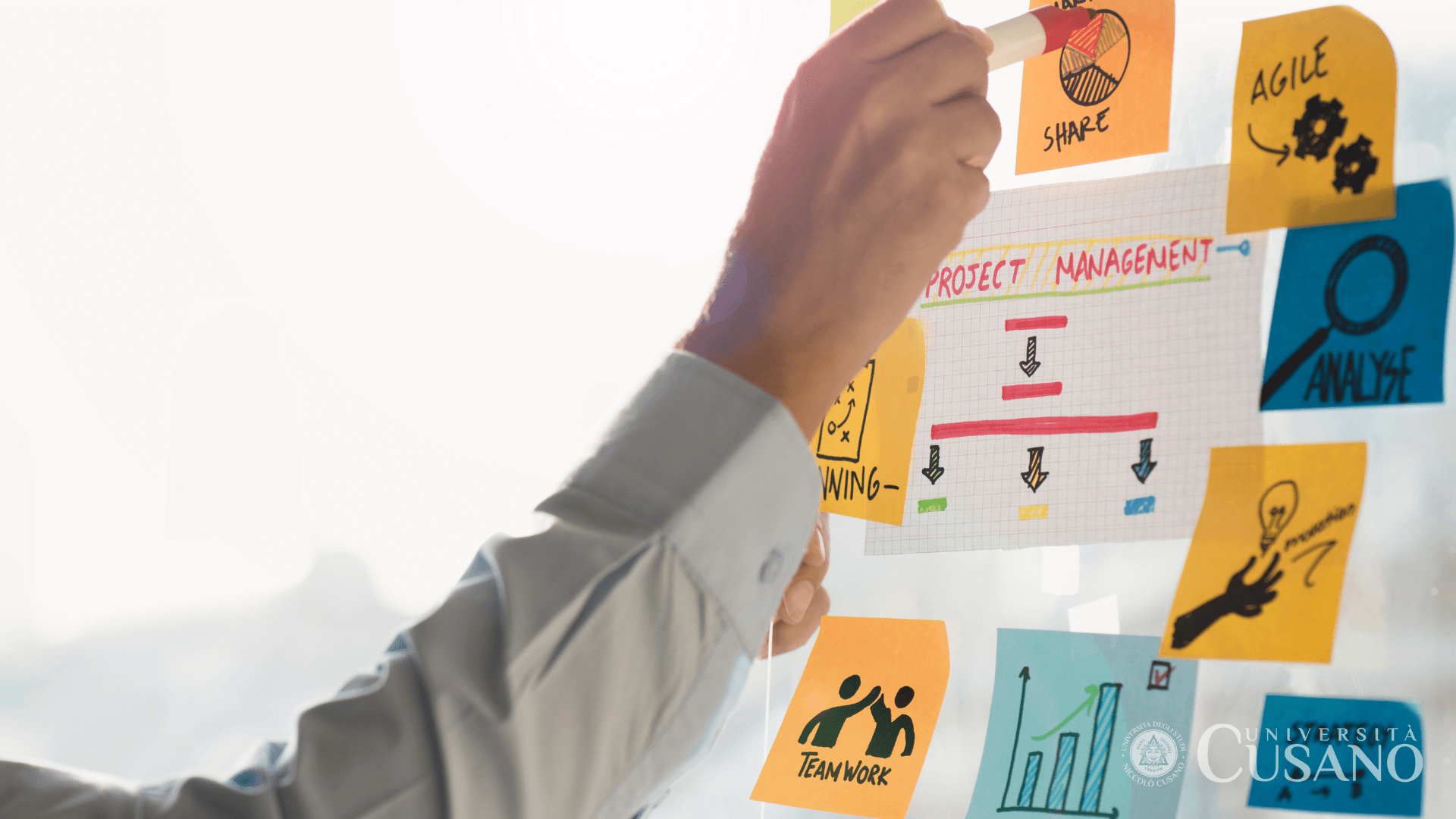 Ingénierie de gestion : processus, qualité et organisation des entreprises
