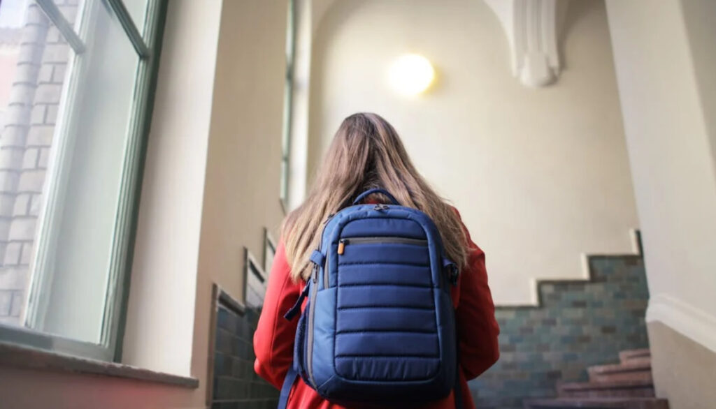 L'Aquila, thèse de doctorat volée : recours des étudiants